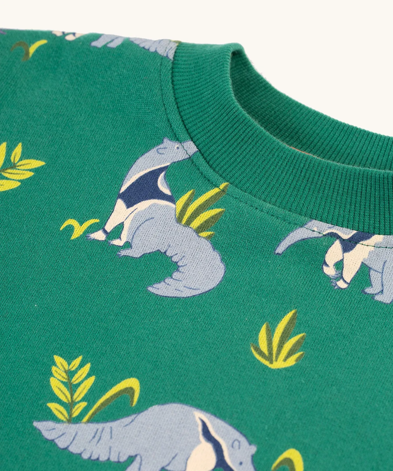 Frugi Superb Sweatshirt - Anteater Parade