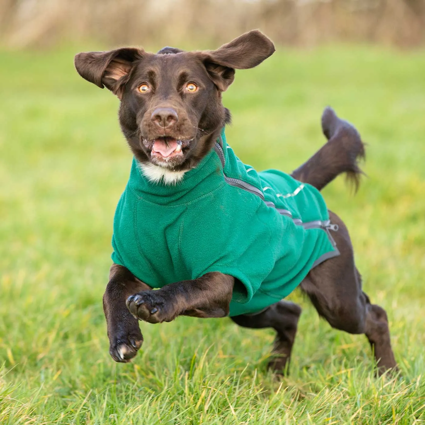 Hugo & Hudson Cosy Fleece Jacket