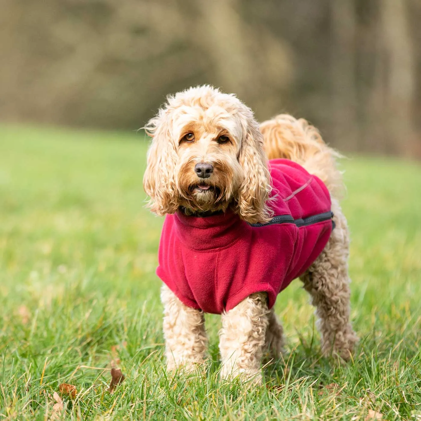 Hugo & Hudson Cosy Fleece Jacket