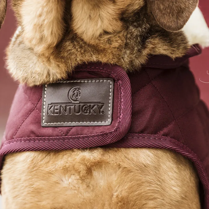 Kentucky Dog Coat- Bordeaux